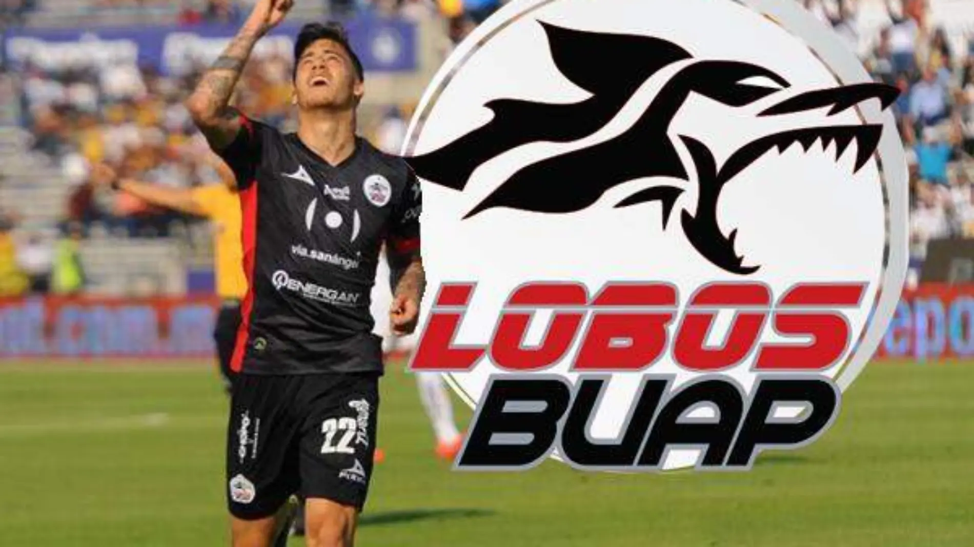 Lobos VBeto